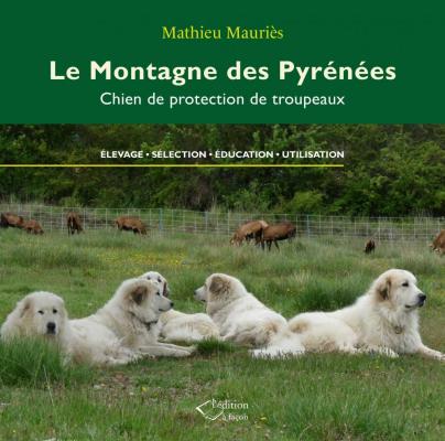 Du Hogan Des Vents, levage de Chien De Montagne Des Pyrnes