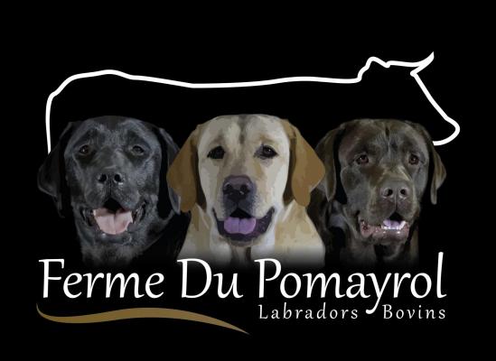 Afficher le site de l'levage Du Pomayrol