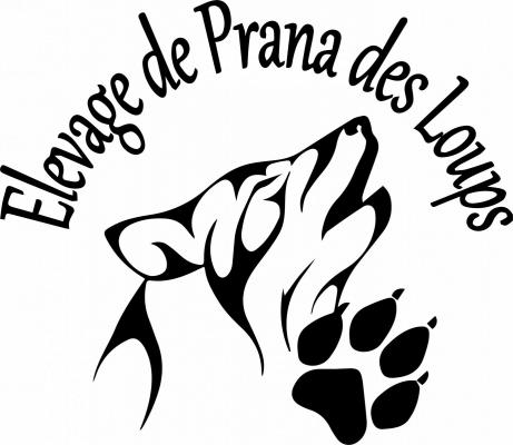 De Prana Des Loups, levage d'Eurasier