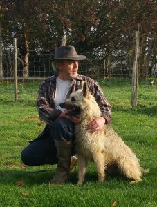 Des Bergers Du Desert, levage de Bouvier Des Ardennes