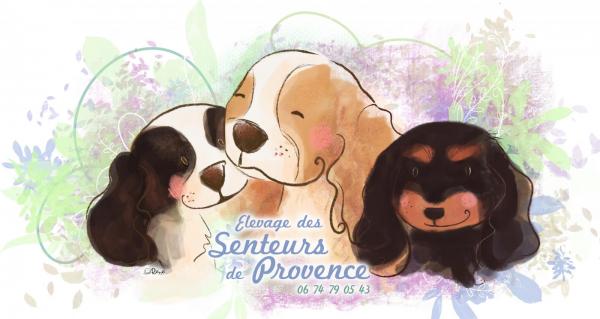 Des Senteurs De Provence, levage de Cavalier King Charles Spaniel