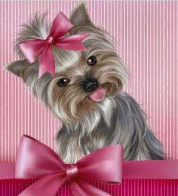 Du Royaume Des Choupettes, levage de Yorkshire Terrier