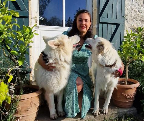 De L'aube Des Hortensias, levage de Berger Blanc Suisse