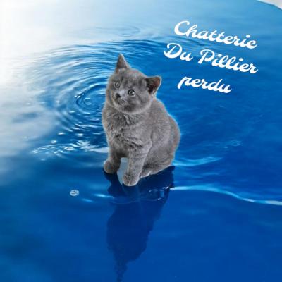 Du Pillier Perdu, levage de Chartreux