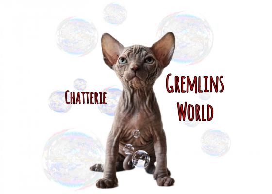 Gremlins World, levage de Sphynx