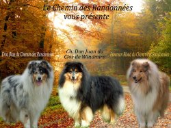 Afficher le site de l'levage Du Chemin Des Randonnes