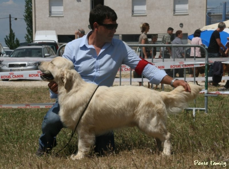 Rendez-vous sur notre site:<br />
www.goldenretriever-aussie.com