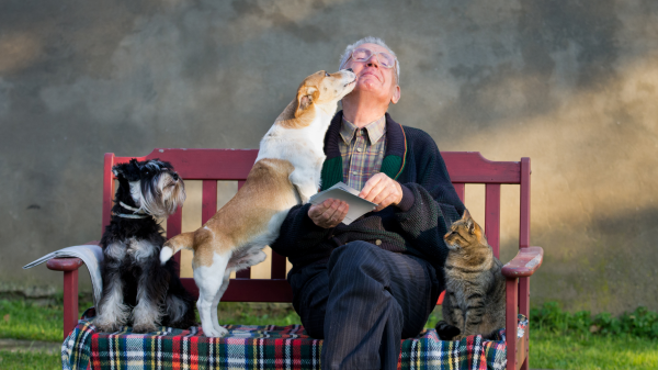 Posséder un chien ou un chat quand on est âgé