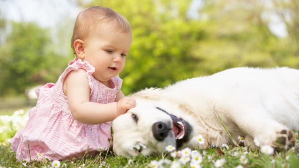 Moins de risque d'allergie chez les enfants avec un animal à la maison ?