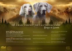 Vrlda de gray ghost'de la chevalerie 8