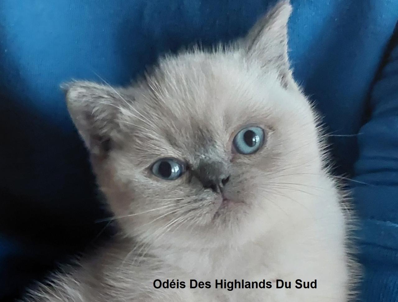 Des Highlands Du Sud