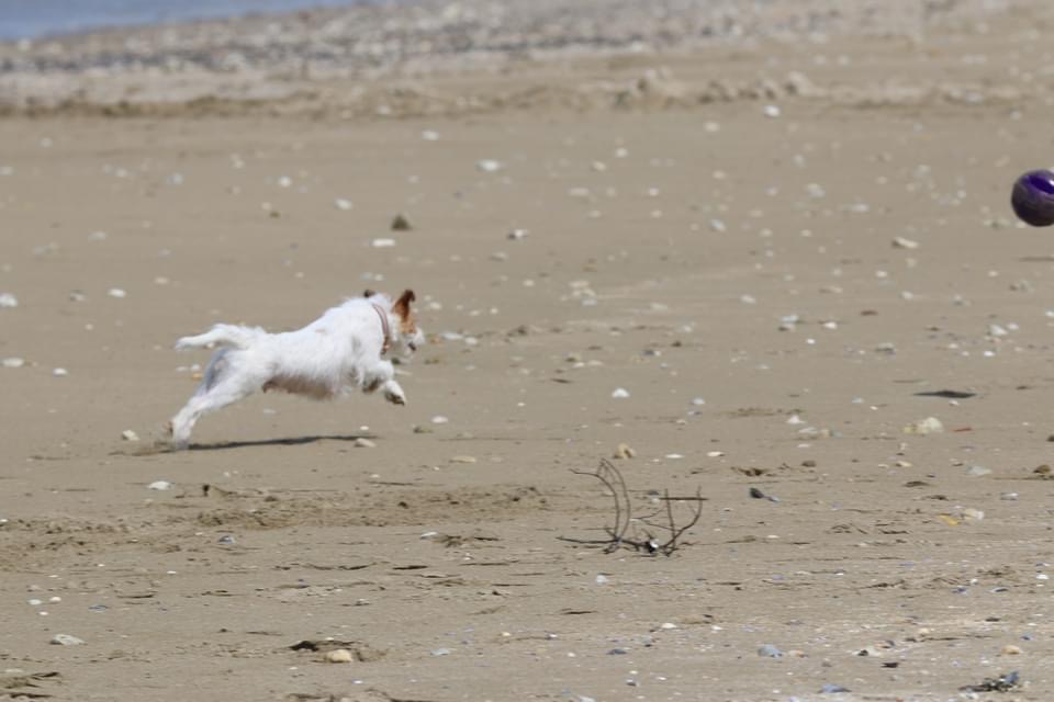 Nos filles  la plage